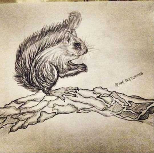 sketchings